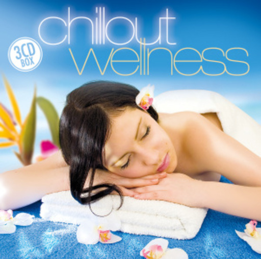 Diverse – Chillout Wellness