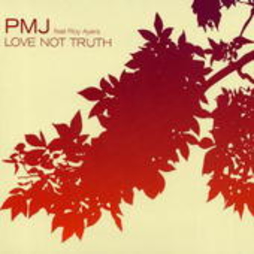 PMJ feat. Roy Ayers – Love Not Truth