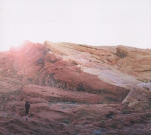 Tamaryn – The Waves