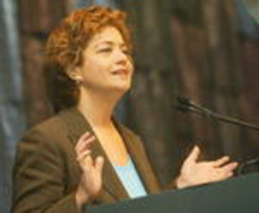 Bald im TV zu sehen: Hilary Rosen