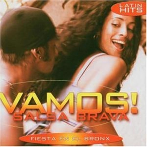 Vamos! Volume 15 – Salsa Brava – Latin Hits