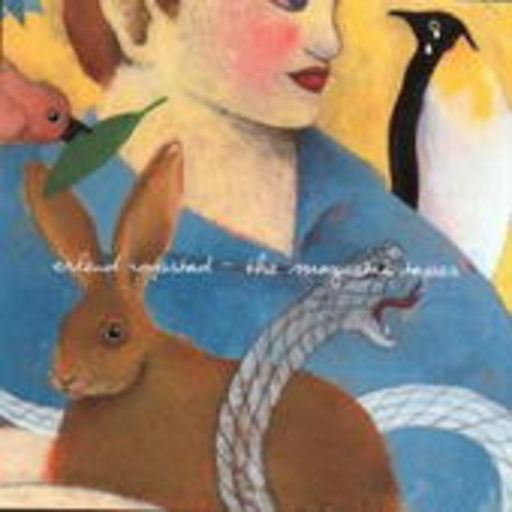 Erlend Ropstad – The Magnetic Tapes