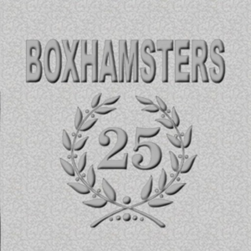 Boxhamsters – Silberhochzeit