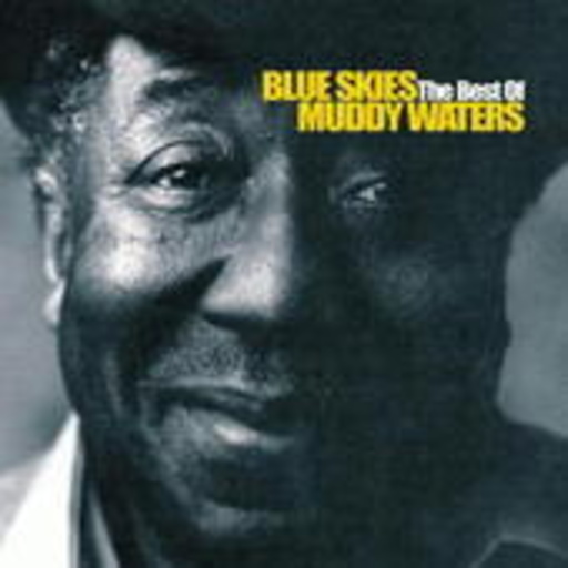 Muddy Waters – Blue Skies - The Best Of