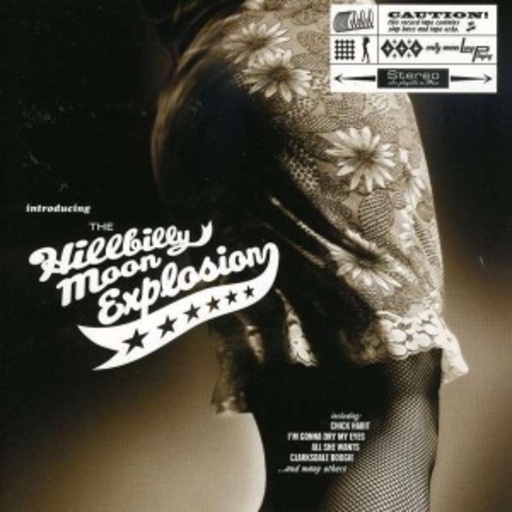 The Hillbilly Moon Explosion – Introducing ...