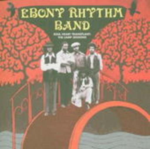 Ebony Rhythm Band – Soul Heart Transplant - The Lamp Session