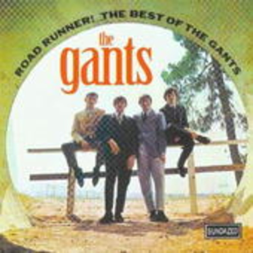 The Gants – Road Runner! - The Best Of The Gants