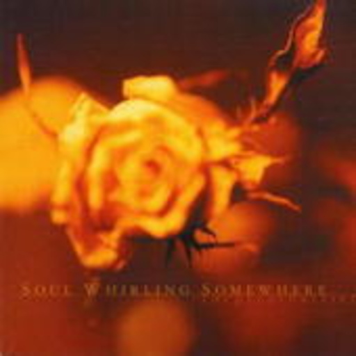 Soul Whirling – The Great Barrier