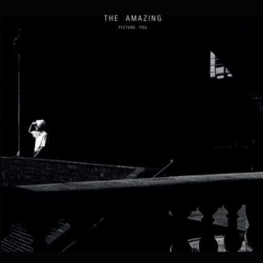 The Amazing – Picture You