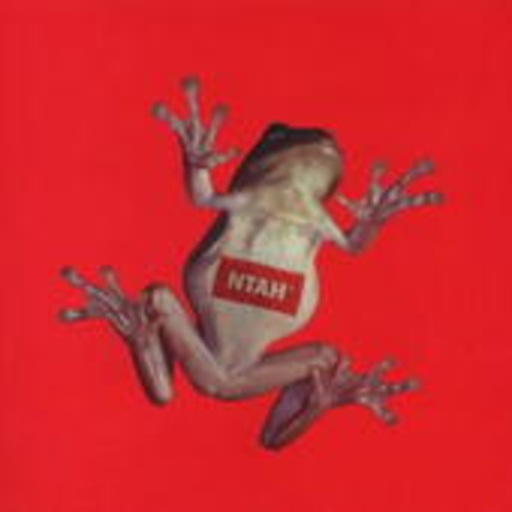 Adrian Sherwood – Never Trust A Hippy