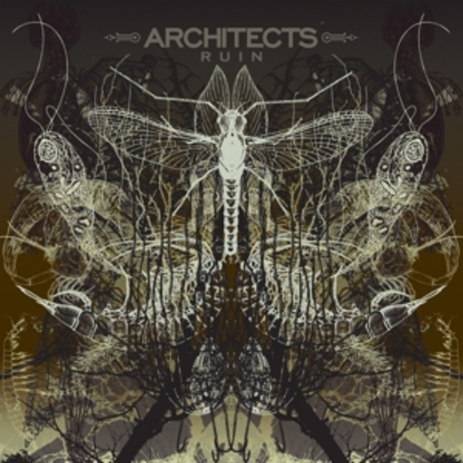 Architects – Ruin