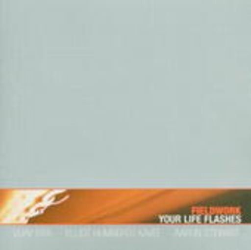 Fieldwork – Your Life Flashes