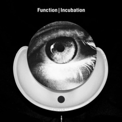 Function – Incubation
