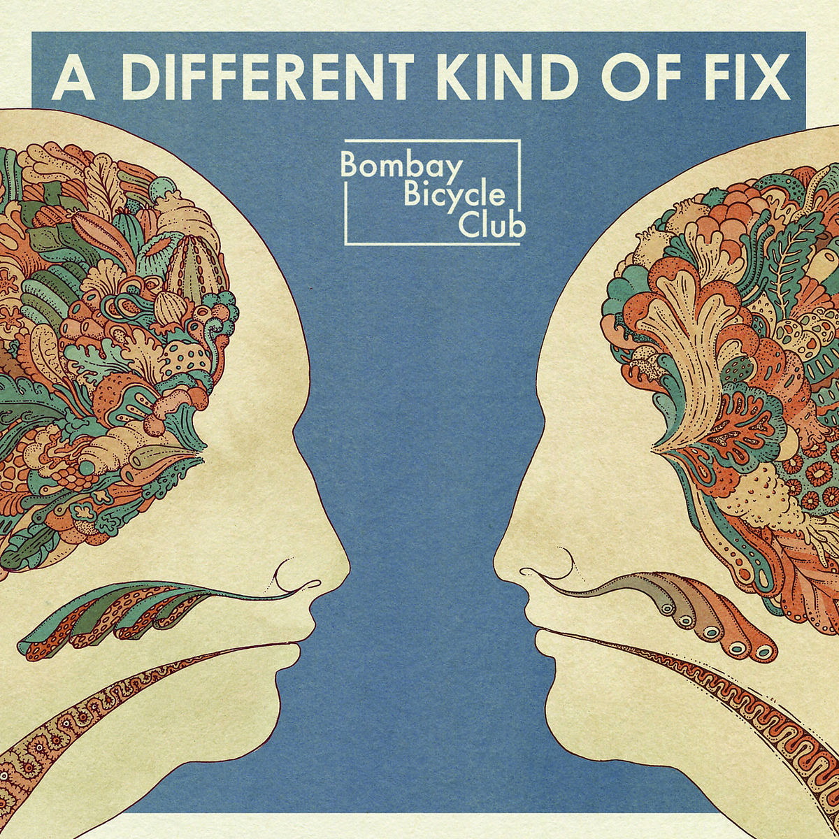 Bombay Bicycle Club – A Different Kind Of Fix