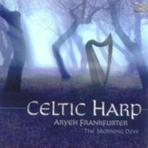 Aryeh Frankfurter – Celtic Harp