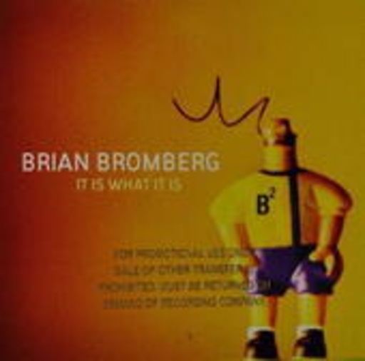 Brian Bromberg – It Is What It Is