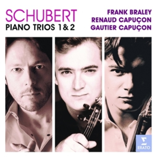 Renaud & Gautier Capucon/Frank Braley – Sämtliche Klaviertrios