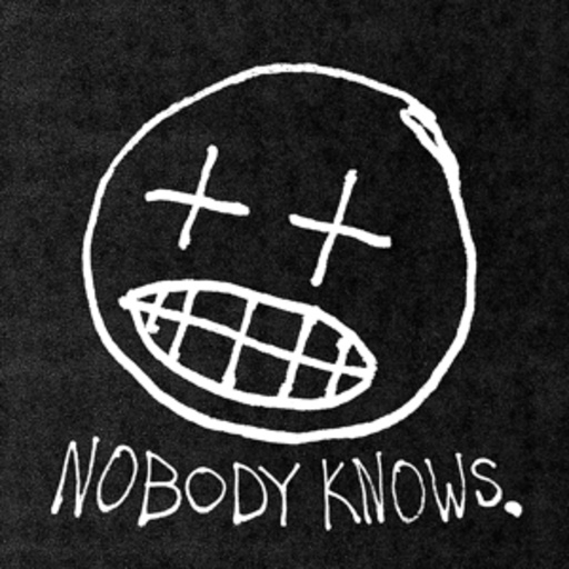 Willis Earl Beal – Nobody Knows