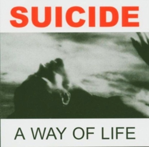 Suicide – A Way Of Life