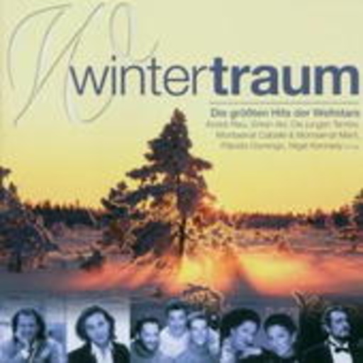 Diverse – Wintertraum