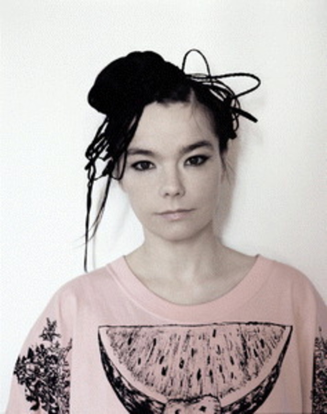 Nach ihrer Absage fällt das ganze Festival flach: Björk