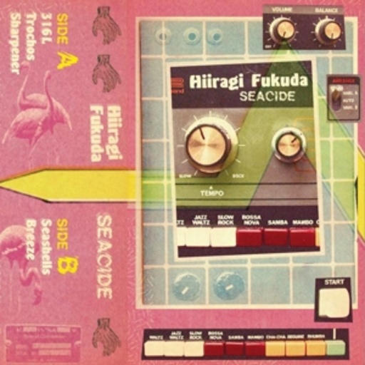 Hiiragi Fukuda – Seacide