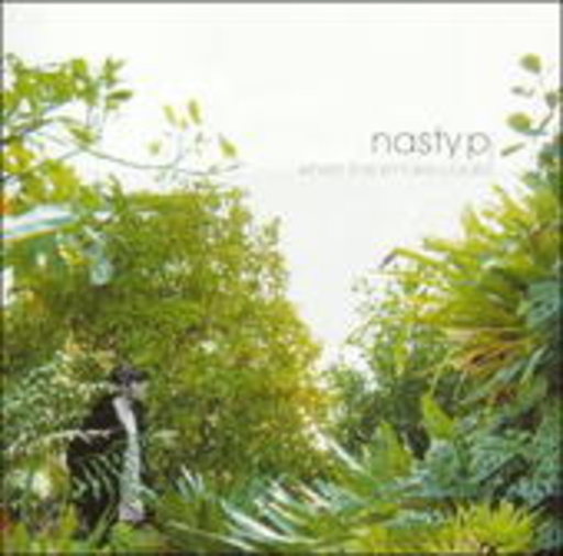 Nasty P – When The Smoke Clears