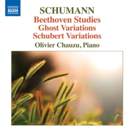 Olivier Chauzu – Beethoven Studies/Ghost Variations/Schubert Variations