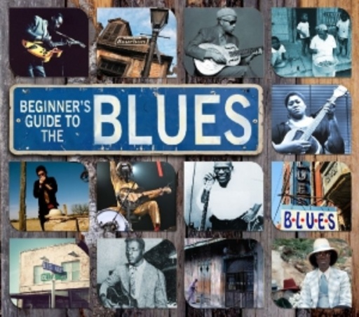 Diverse – Beginner's Guide To The Blues