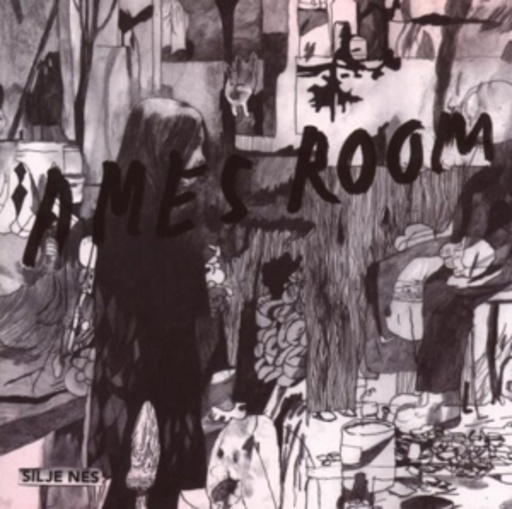 Silje Nes – Ames Room