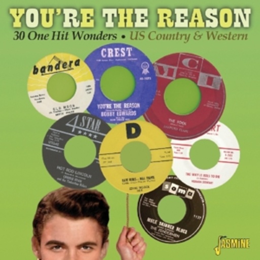 Diverse – You Are The Reason