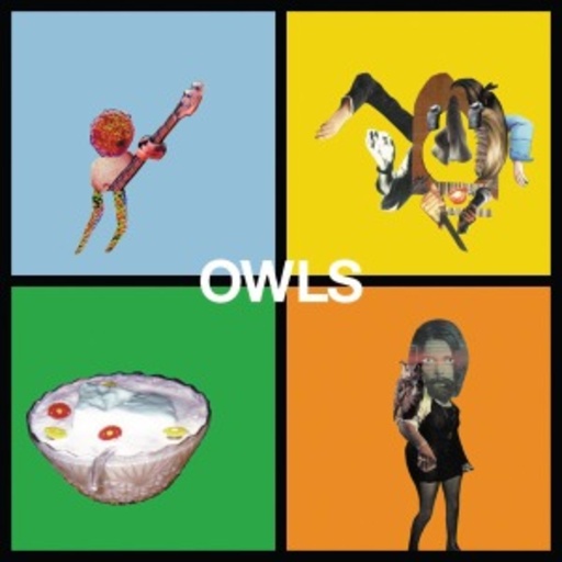 Owls