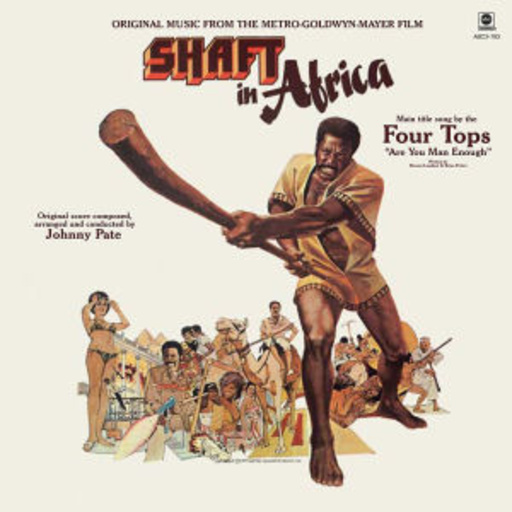 Diverse – Shaft In Africa