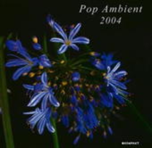Pop Ambient 2004