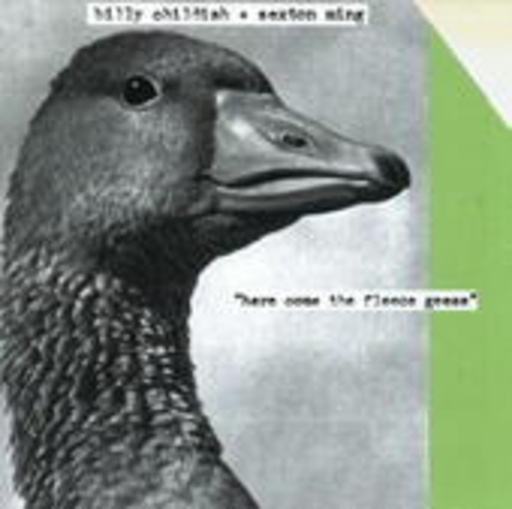 Billy Childish & Sexton Ming – Here Come The Fleece Geese