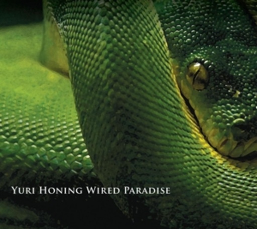 Yuri Honing & Wired Paradise – Temptation