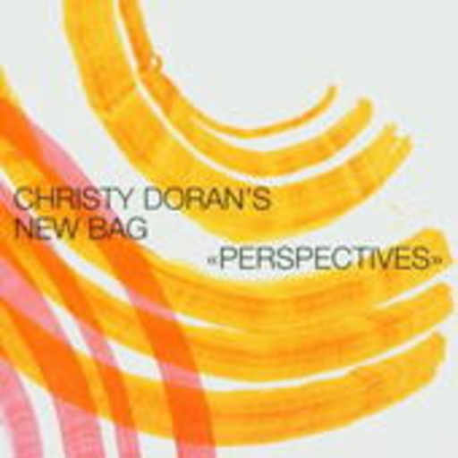 Christy Doran's New Bag – Perspectives