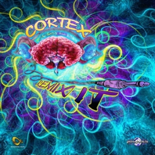 Cortex – Remix It