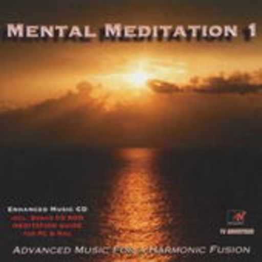 Diverse – Mental Meditation 1