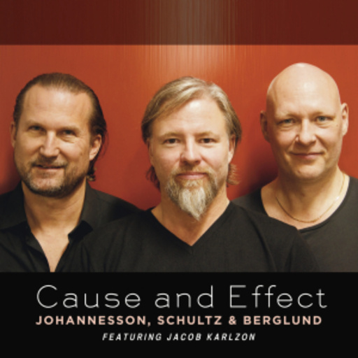 Johannesson, Schultz & Berglund – Cause And Effect