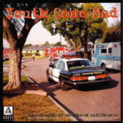 Youth Gone Mad/One Way Down – Split 7"