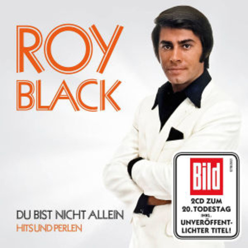 Du bist nicht allein – Hits und Perlen