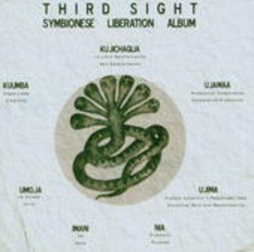 Third Sight (D-Styles & Jihad) – Symbionese Liberation Album