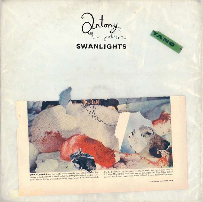 Antony And The Johnsons – Swanlights