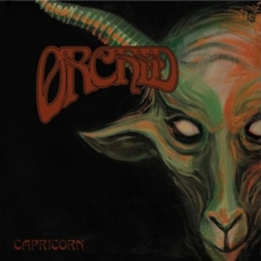 Orchid – Capricorn