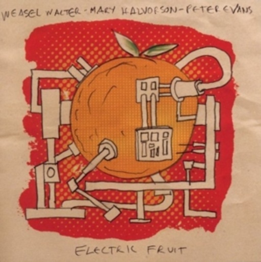 Mary Halvorson/Peter Evans – Electric Fruit