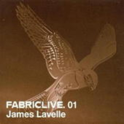 Diverse – Fabric Live 01 - James Lavelle