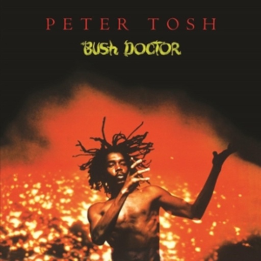 Peter Tosh – Bush Doctor