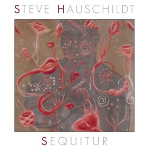 Steve Hauschildt – Sequitur