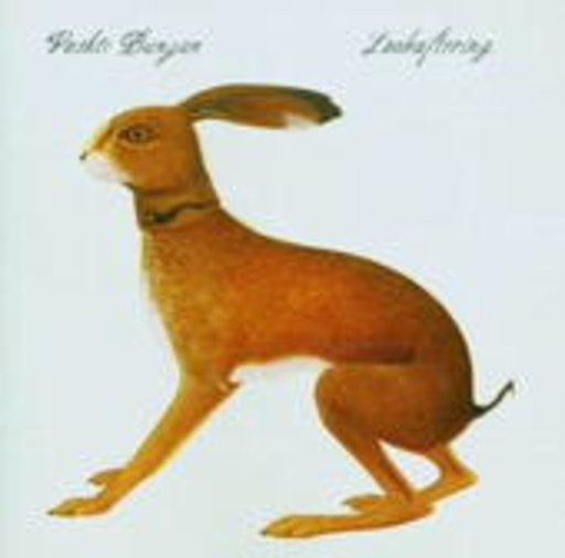 Vashti Bunyan – Lookaftering